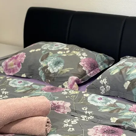 Bosnjak * Starigrad Paklenica