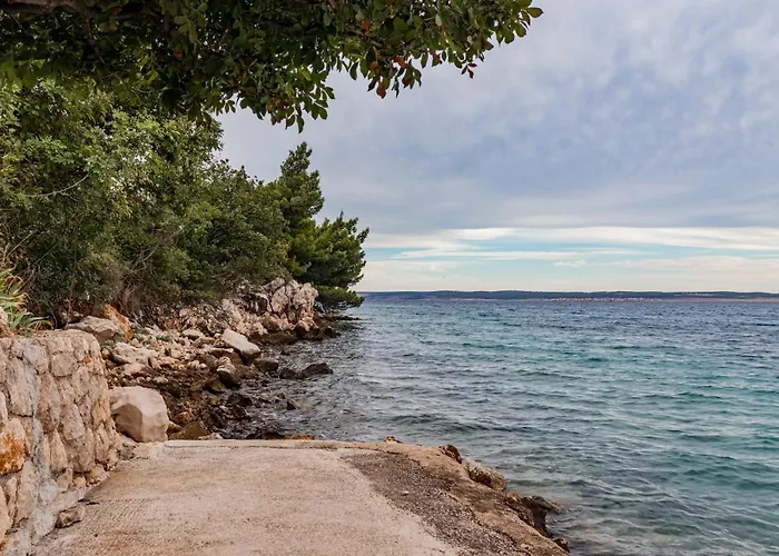 Bosnjak * Стариград-Пакленица